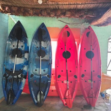 Go Inn Backpackers أسوان المظهر الخارجي الصورة