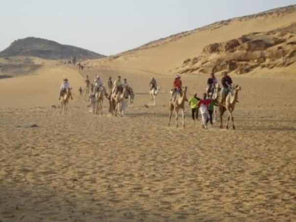 Go Inn Backpackers أسوان المظهر الخارجي الصورة