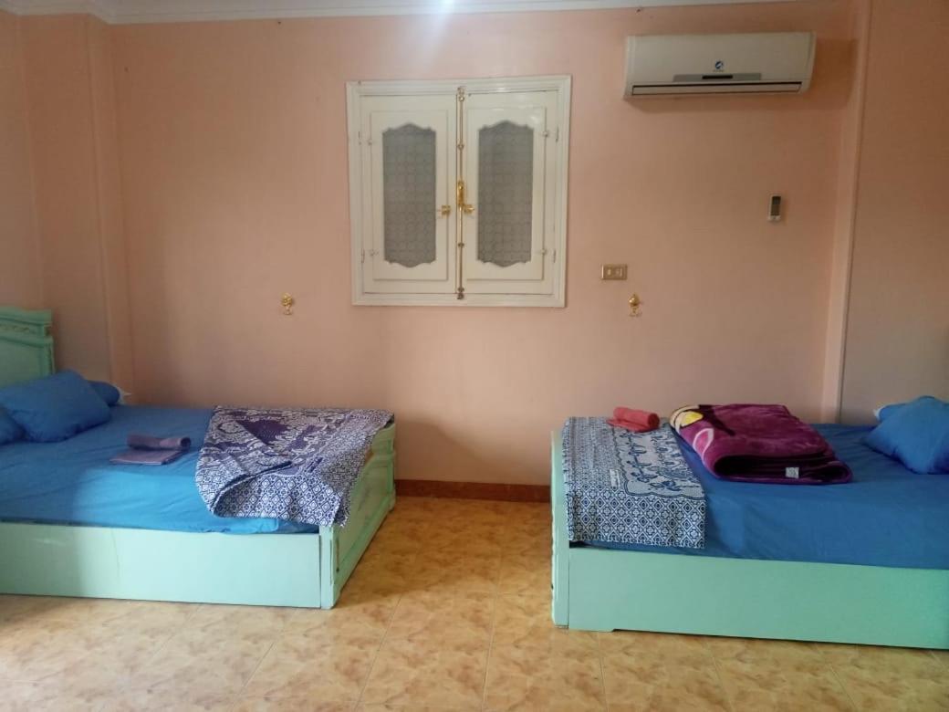 Go Inn Backpackers أسوان المظهر الخارجي الصورة