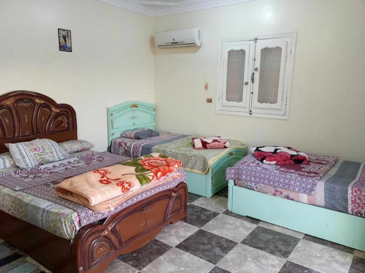Go Inn Backpackers أسوان المظهر الخارجي الصورة