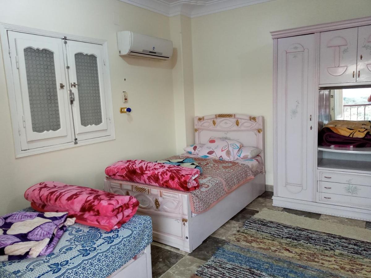 Go Inn Backpackers أسوان المظهر الخارجي الصورة