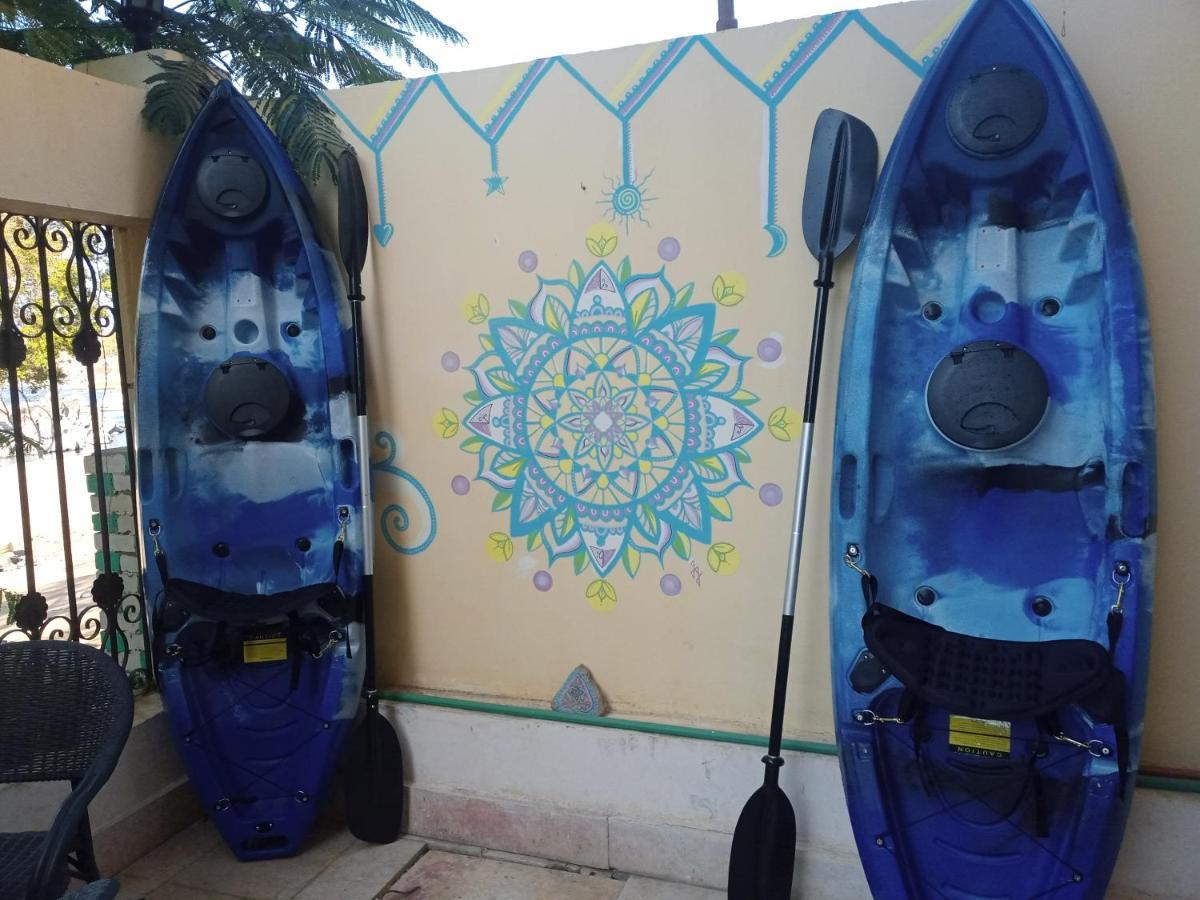 Go Inn Backpackers أسوان المظهر الخارجي الصورة